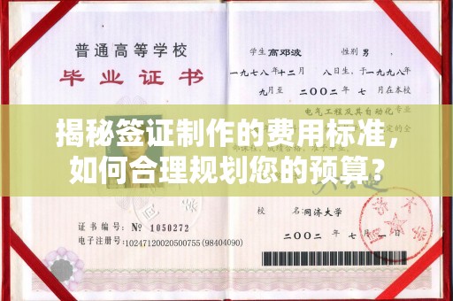 新会揭秘签证制作的费用标准，如何合理规划您的预算？