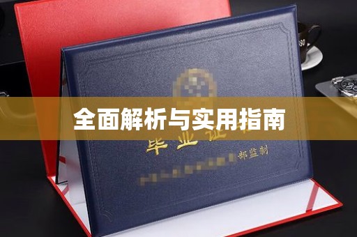 柳东全面解析与实用指南